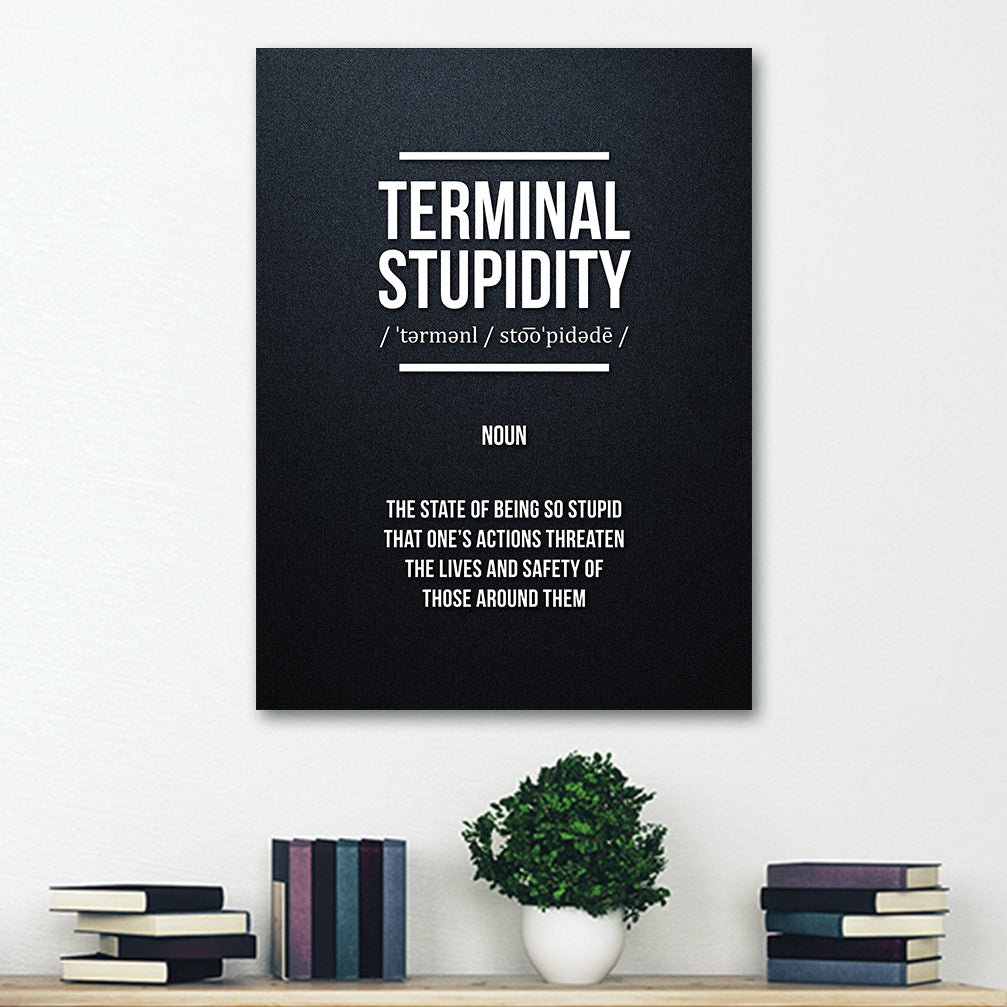 Funny wall art with the definition of "terminal stupidity", poster is hung on dorm wall