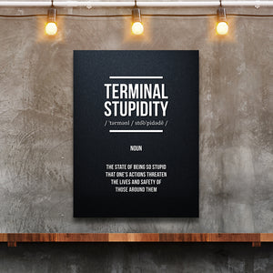 Funny demotivational poster with the definition of "terminal stupidity"